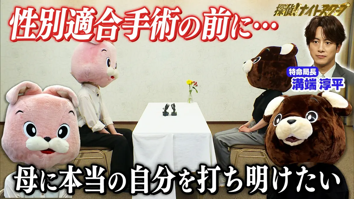 探偵ナイトスクープ見逃し配信の無料視聴術！神回アーカイブ最新情報