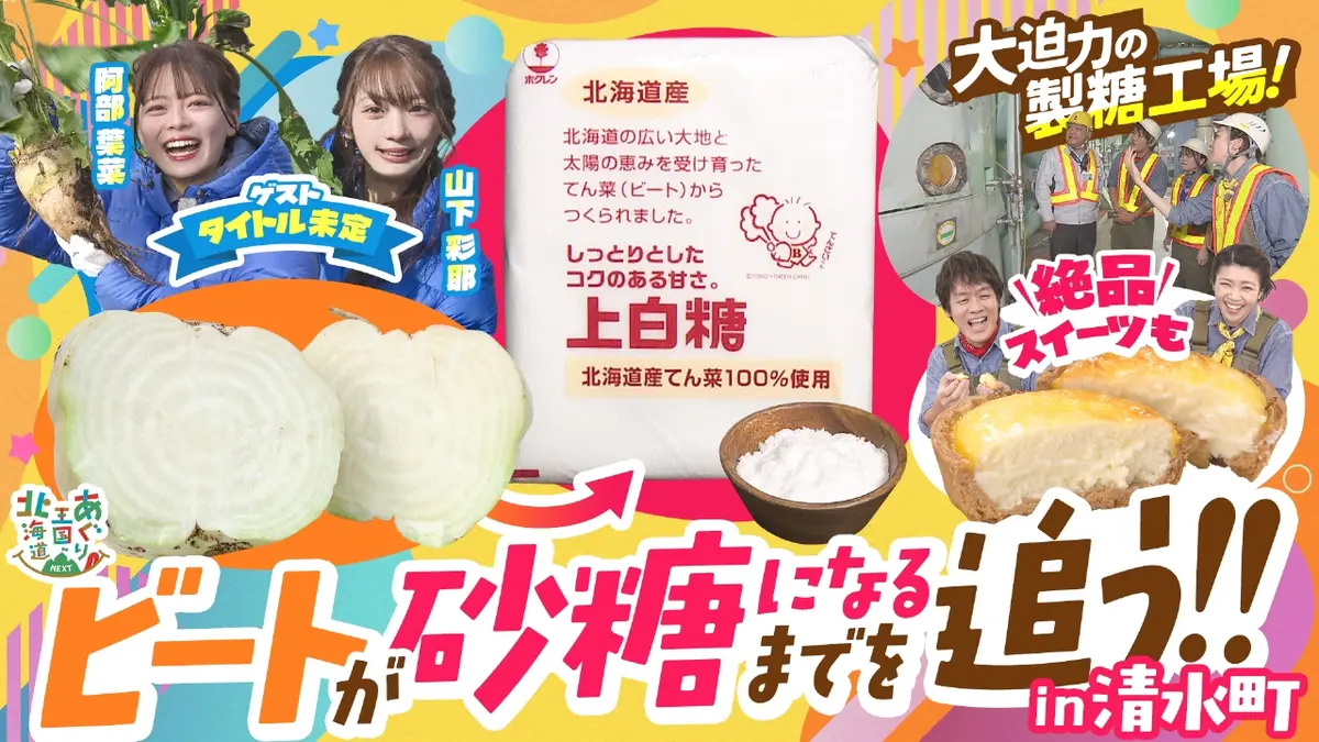 あぐり王国北海道NEXT 11月22日(土)放送分 大迫力！タイトル未定と砂糖