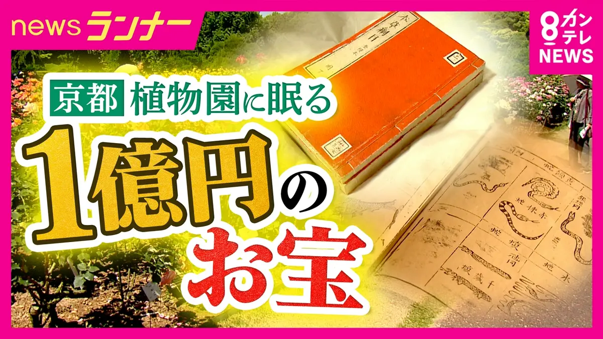 newsランナー 5月13日(水)放送分 AIに「3万円」と査定された古書が「1 