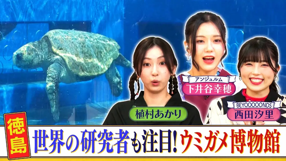 西乃風ブラン堂 10月27日(月)放送分 ＃173「徳島 世界の研究者も注目