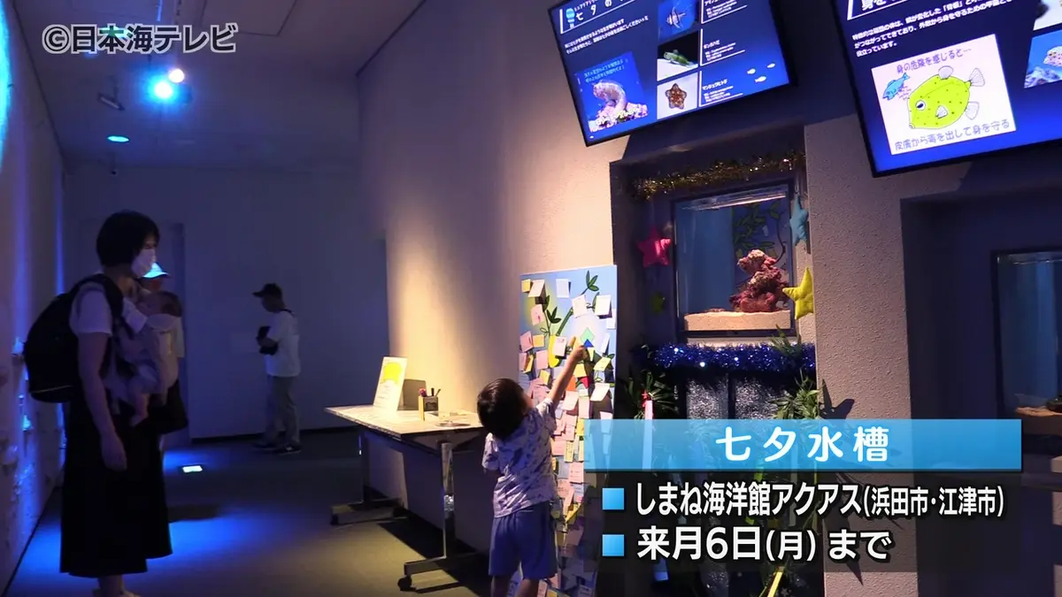 日テレNEWS NNN 6月17日(水) 12:05 天の川や夜空の星をイメージした