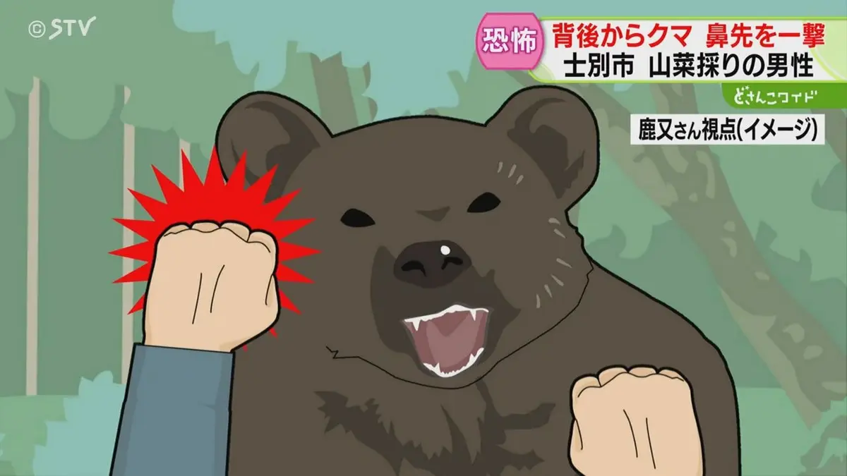 山採り　クマシデ 日テレNEWS NNN 5月18日(月) 16:06 クマの“弱点”鼻先を一撃「ここで