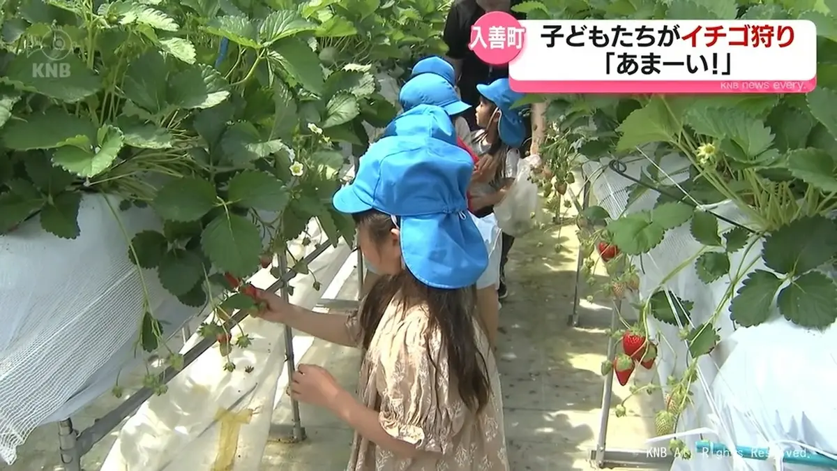 いのちを守る農場から 金子美登 送料無料 いのちを守る農場から 金子美登 送料無料 【公式通販】
