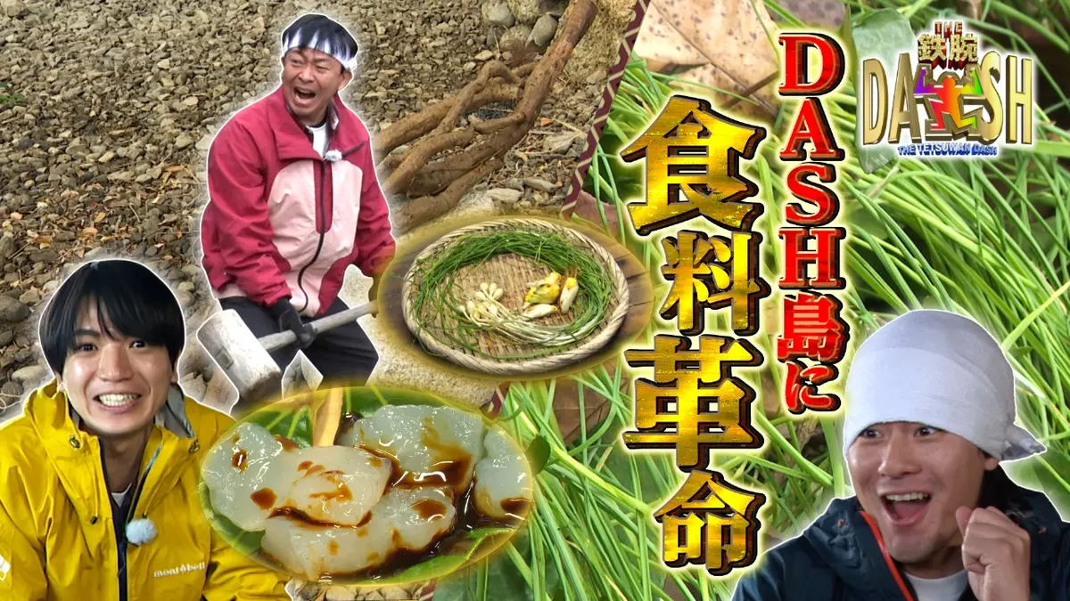 ザ！鉄腕！DASH!! 2月8日(日)放送分 島の未開拓エリア大冒険SP!歴史を変える新食材発見か!?｜バラエティ｜見逃し無料配信はTVer ！人気の動画見放題