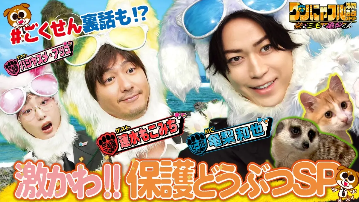 世界を救う！ワンにゃフル物語～柴と三毛と亀梨くん～ 10月29日(水