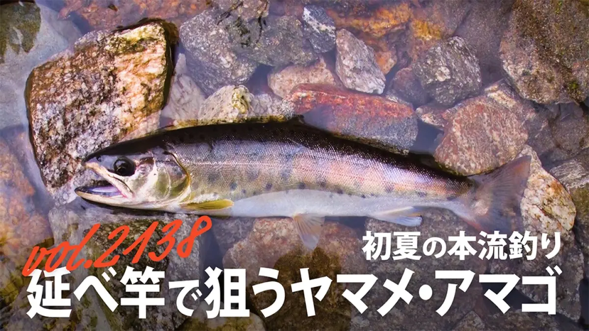 THEフィッシング 5月16日(土)放送分 初夏の本流釣り 延べ竿で狙う