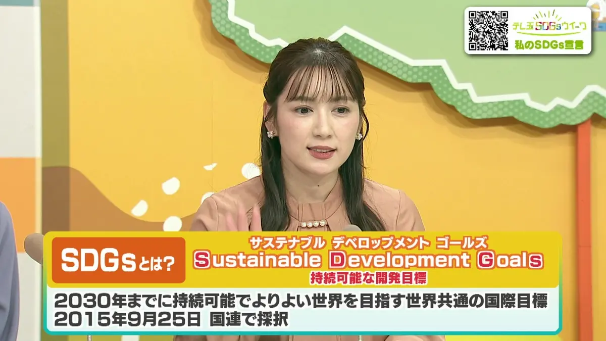 テレ 玉 見逃し
