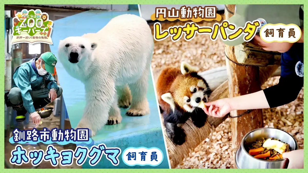 北海道ZOOキーパーズ～世界一近い！動物の素顔～ 7月12日(日)放送分