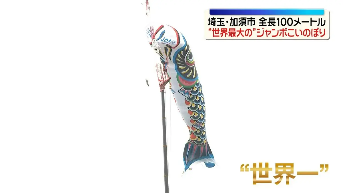 鯉太郎です。 日テレNEWS NNN 5月3日(日) 16:47 全長100メートル“世界最大”の