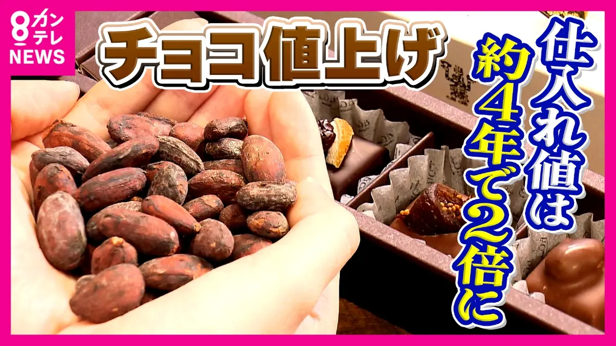 newsランナー 1月13日(火)放送分 バレンタイン危機！カカオ価格2倍に高騰 国産栽培や「代替チョコ」で打開策模索する日本  「安い時代には戻らない」専門家が警鐘｜報道／ドキュメンタリー｜見逃し無料配信はTVer！人気の動画見放題