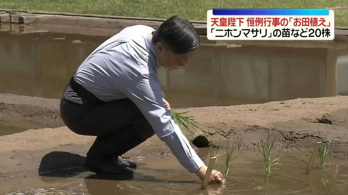 日テレNEWS NNN 5月13日(水) 15:41 天皇陛下、恒例行事の「お田植え