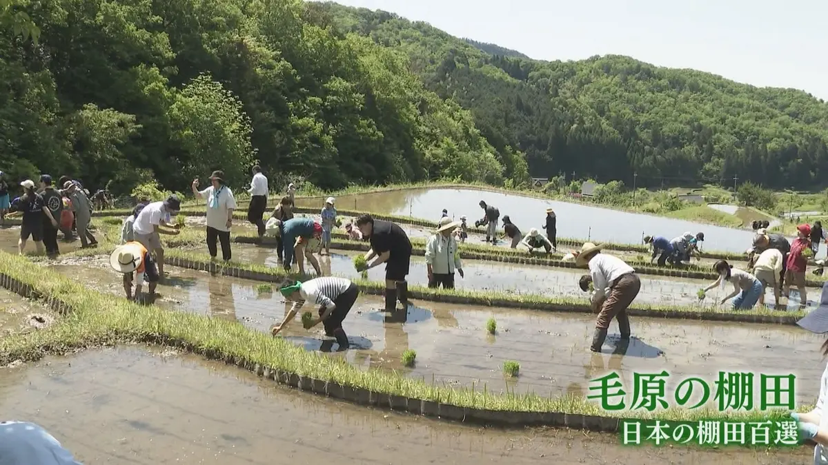 日テレNEWS NNN 5月10日(日) 12:17 日本の棚田百選「毛原の棚田」で