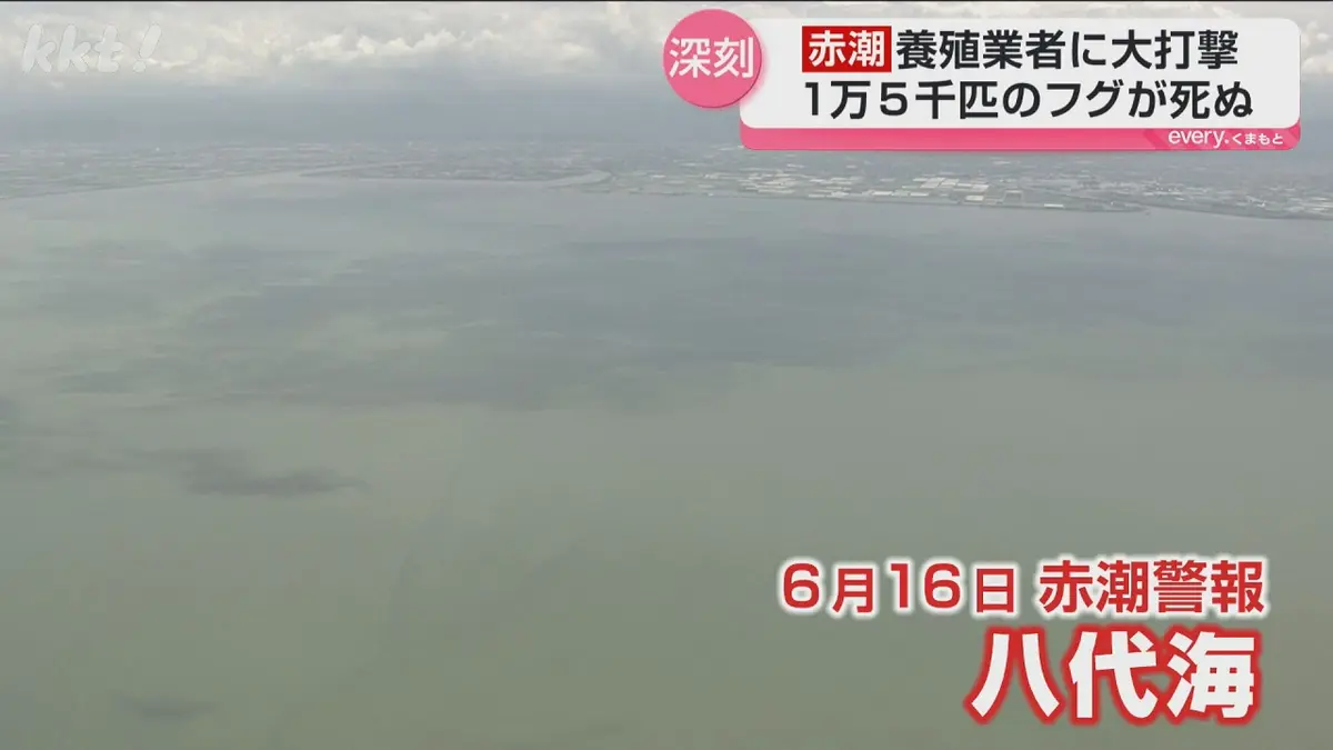 日テレNEWS NNN 7月8日(水) 19:04 【深刻】「何年も続いているので漁業