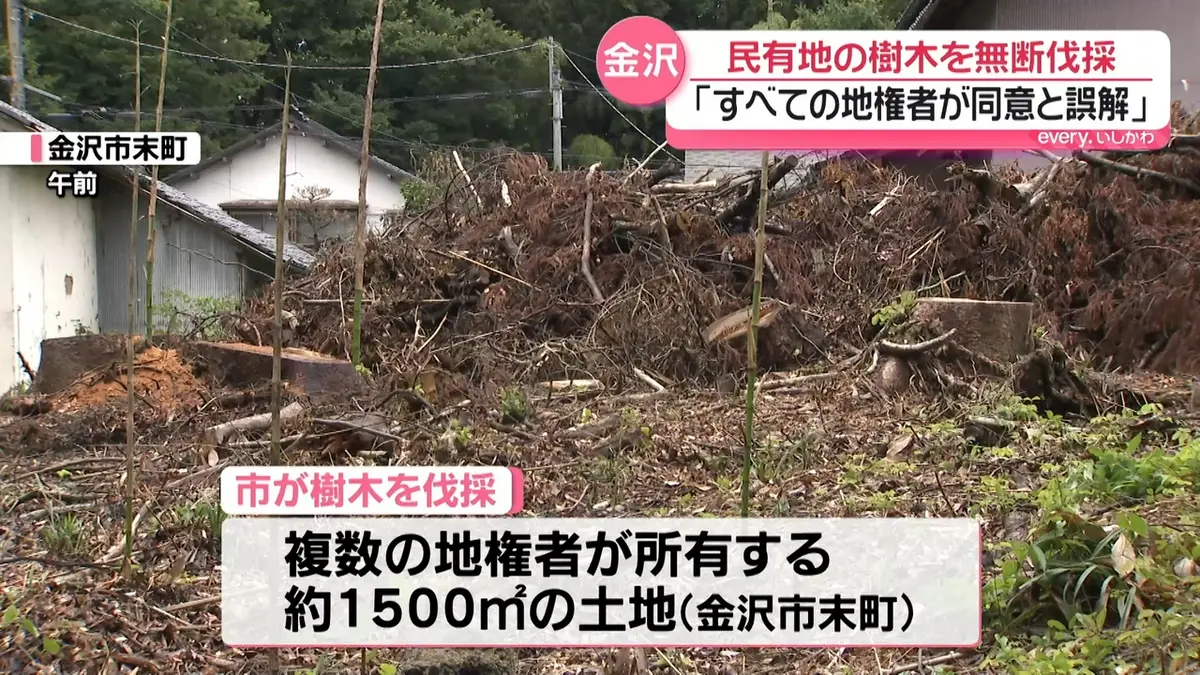 格安で樹木を伐採します。 日テレNEWS NNN 6月26日(金) 18:30 金沢市が同意なしに民有地の樹木を