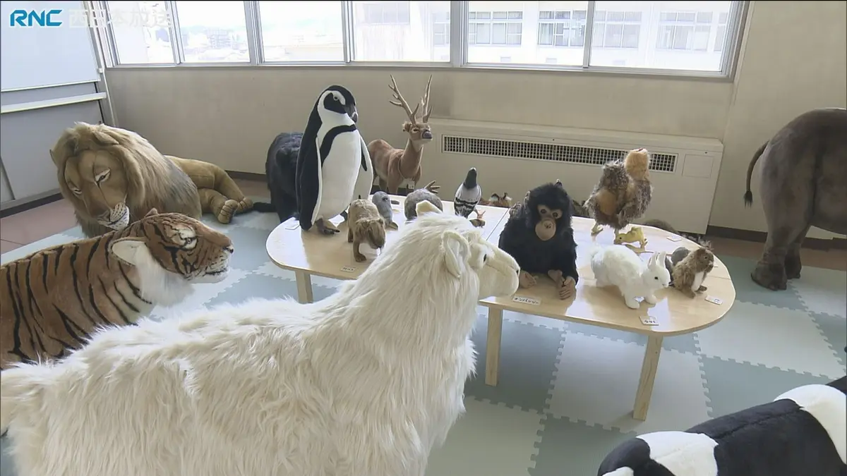 日テレNEWS NNN 5月20日(水) 18:55 「触れる動物園」盲学校に寄贈
