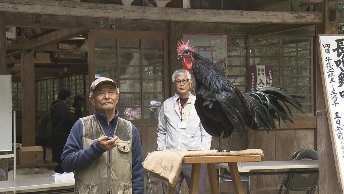 日テレNEWS NNN 5月5日(火) 12:30 鳴き声の長さと美しさを競う 「長鳴