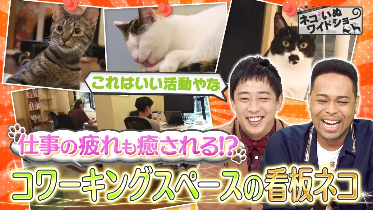 ネコいぬワイドショー 11月14日(金)放送分 ＃152 ゲスト：EXILE