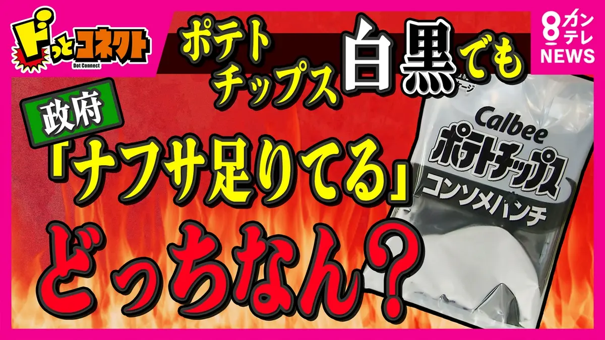 ナフサ 不足 ひろゆき