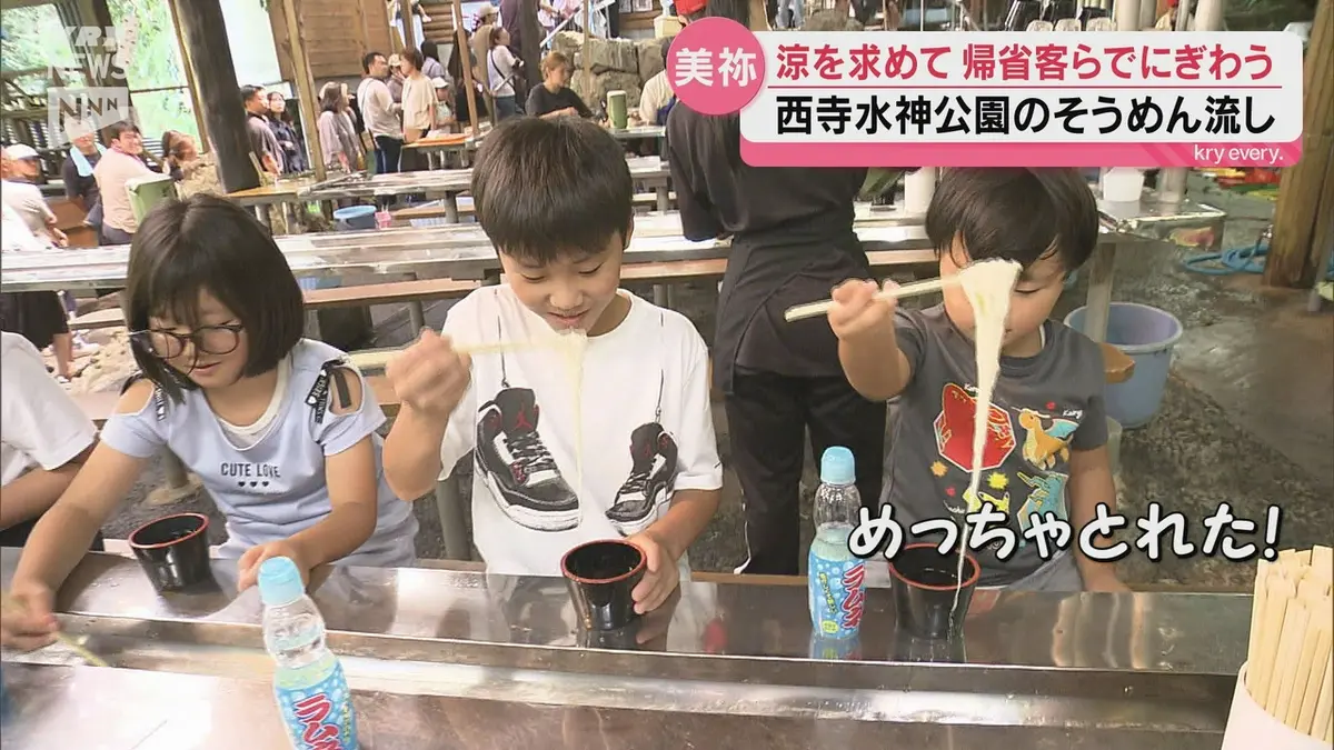 西寺 水神 公園 そうめん 流し