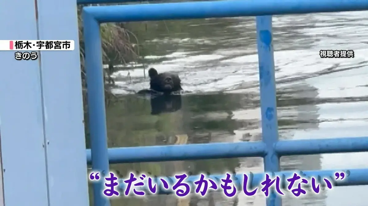 日テレNEWS NNN 6月10日(水) 20:57 宇都宮で休校3日目…対応に追われる