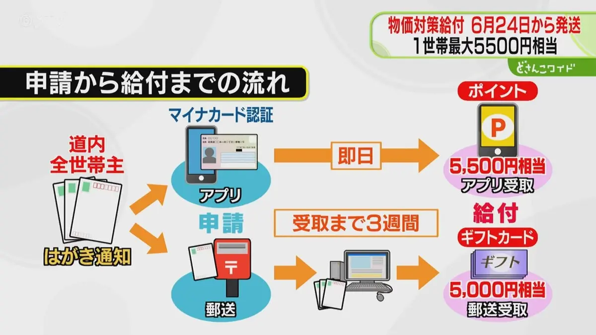 日テレNEWS NNN 5月19日(火) 16:15 1世帯に最大5500円相当 物価高対策