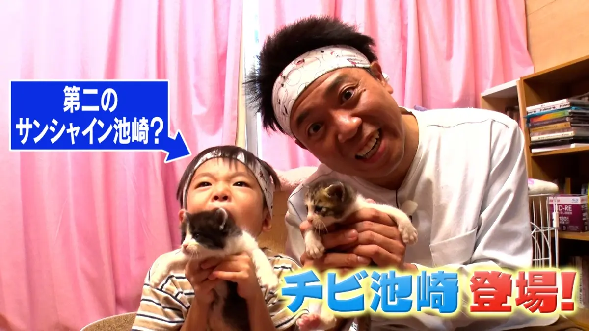 ねこ自慢 12月3日(水)放送分 サンシャイン池崎に憧れる5歳の猫男子が