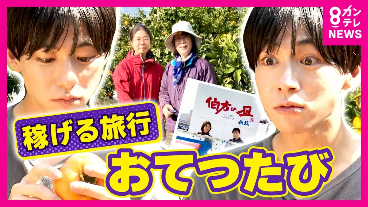 ひろみん様おまとめ8点（夏割4点） ひろみん様おまとめ8点（夏割4点） ひろみん様おまとめ