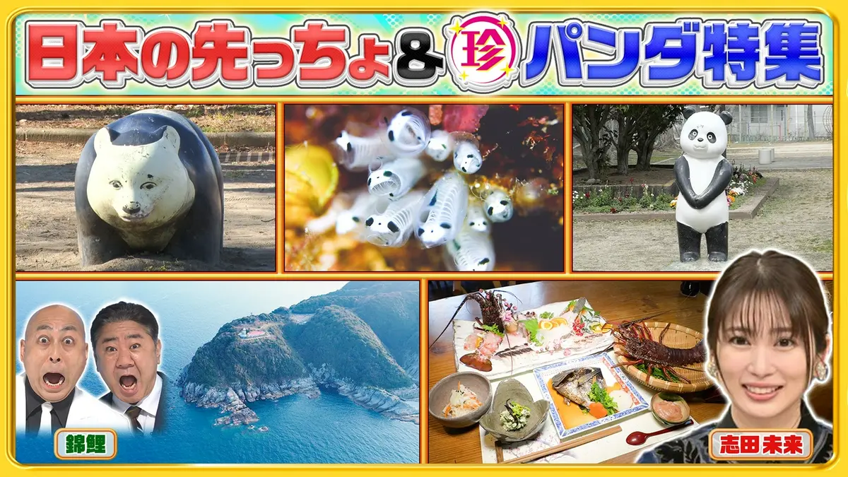 ナニコレ珍百景 4月12日(日)放送分 パンダロス解消!?全国の珍パンダ 