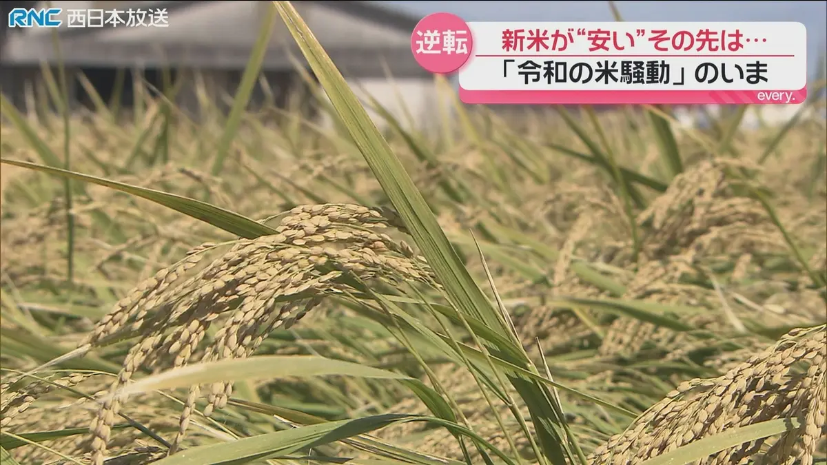 日テレNEWS NNN 9月10日(木) 18:45 「令和の米騒動」のいま｜報道