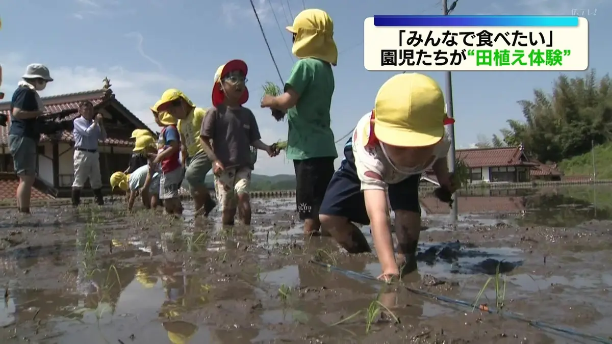 日テレNEWS NNN 5月17日(日) 16:31 泥だらけになりながら…園児たちが