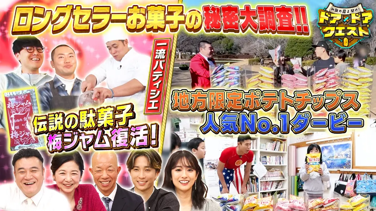 活動歴および当時の関連ビジュアル記録