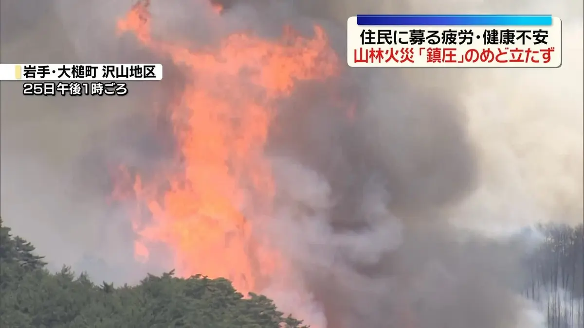 日テレNEWS NNN 4月26日(日) 1:55 岩手・大槌町の山林火災 鎮圧のめど