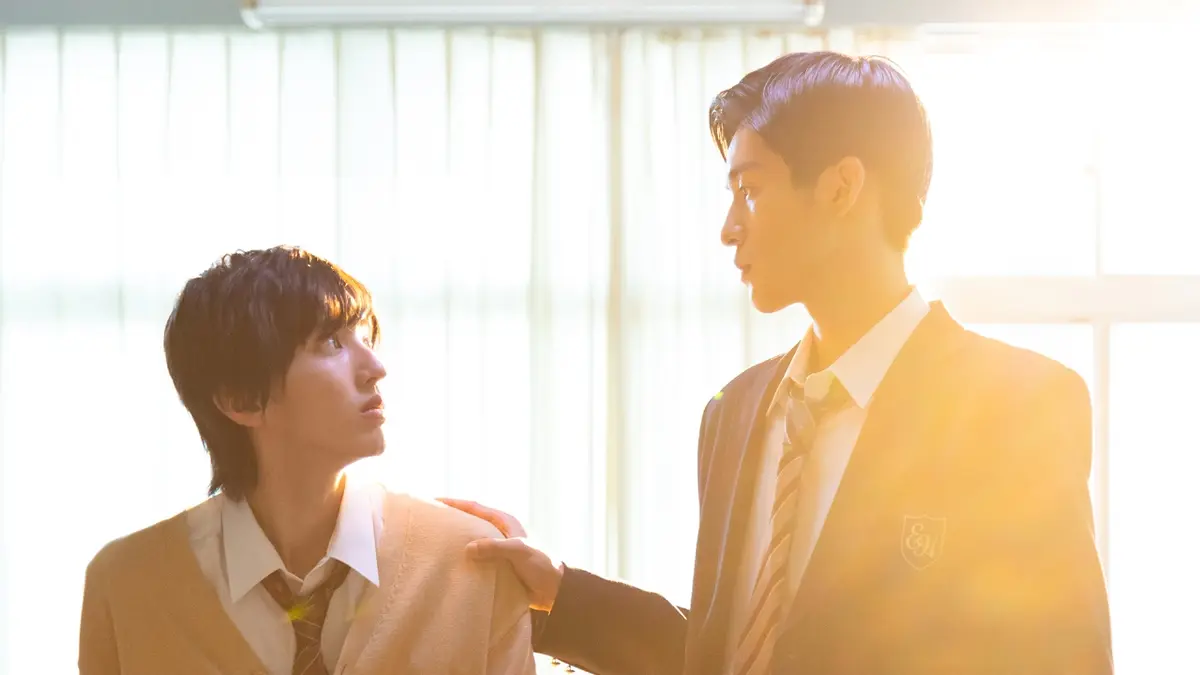 消えた初恋 未開封 初回限定盤 消えた初恋 DVD BOX 4枚組 目黒蓮 道枝駿佑 消えた