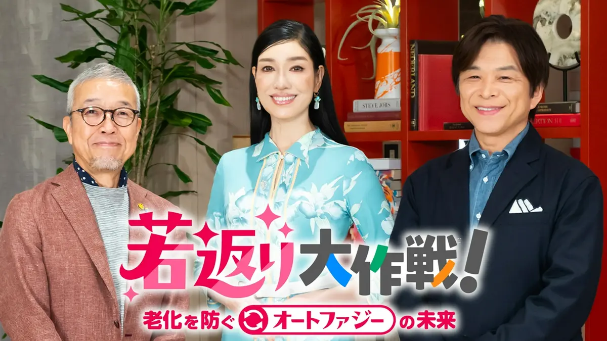 オート ファジー 若返り