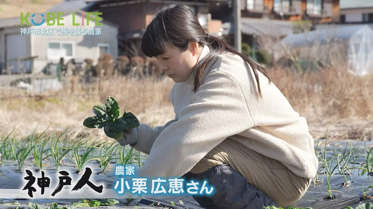 KOBE LIFE 4月4日(土)放送分 ＃101 農家・小栗広恵さん｜報道
