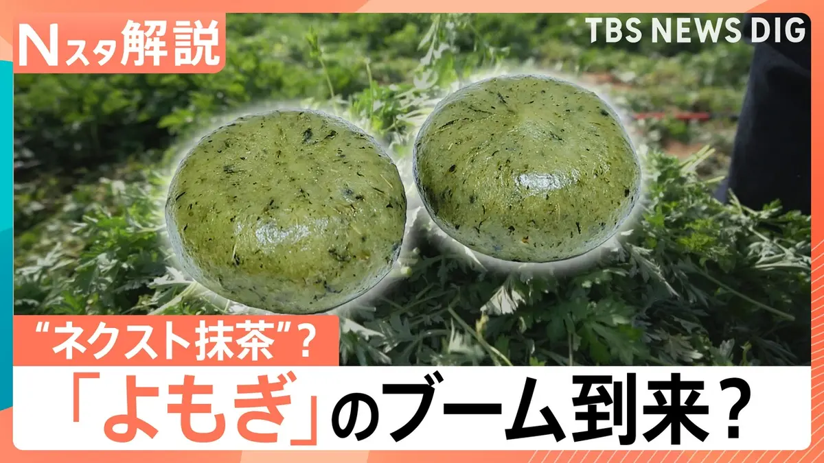 TBS NEWS DIG Powered by JNN 5月7日(木)放送分 よもぎが“ネクスト抹茶