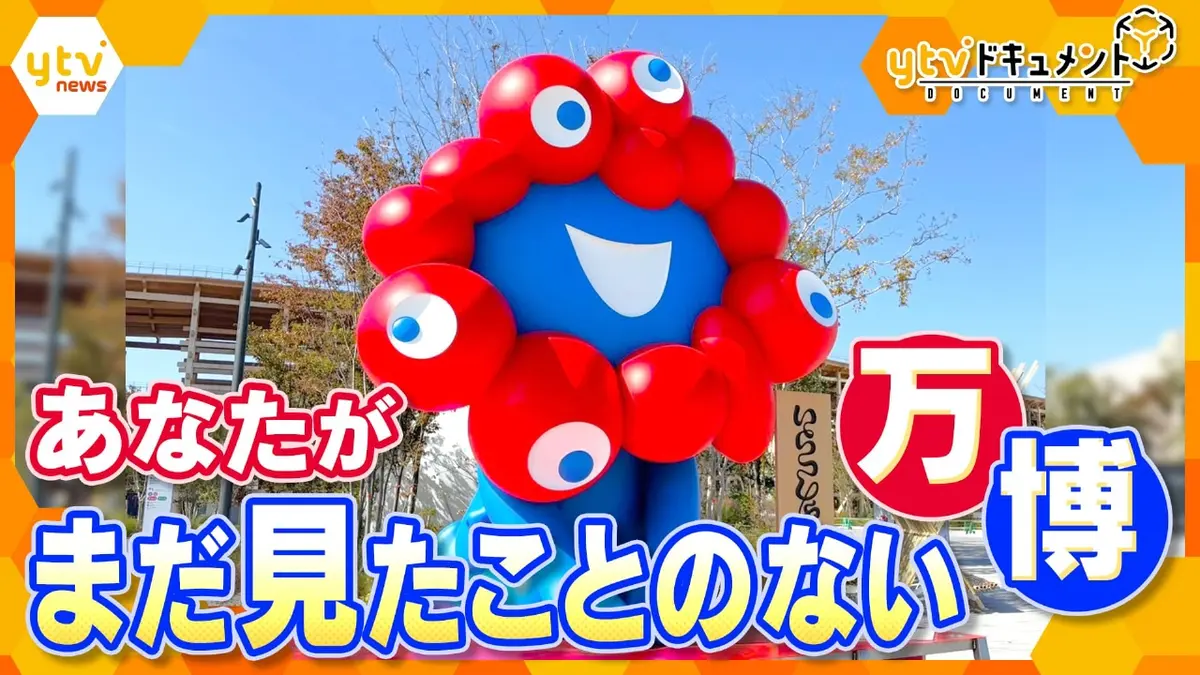 厳選！ytvニュース特集 11月24日(月)放送分 【完全保存版】熱狂の184