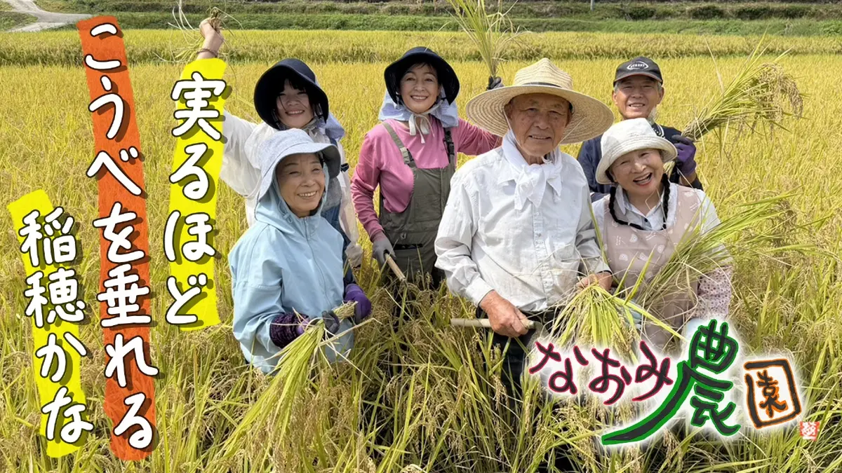 なおみ農園 11月20日(木)放送分 実るほど 頭を垂れる 稲穂かな