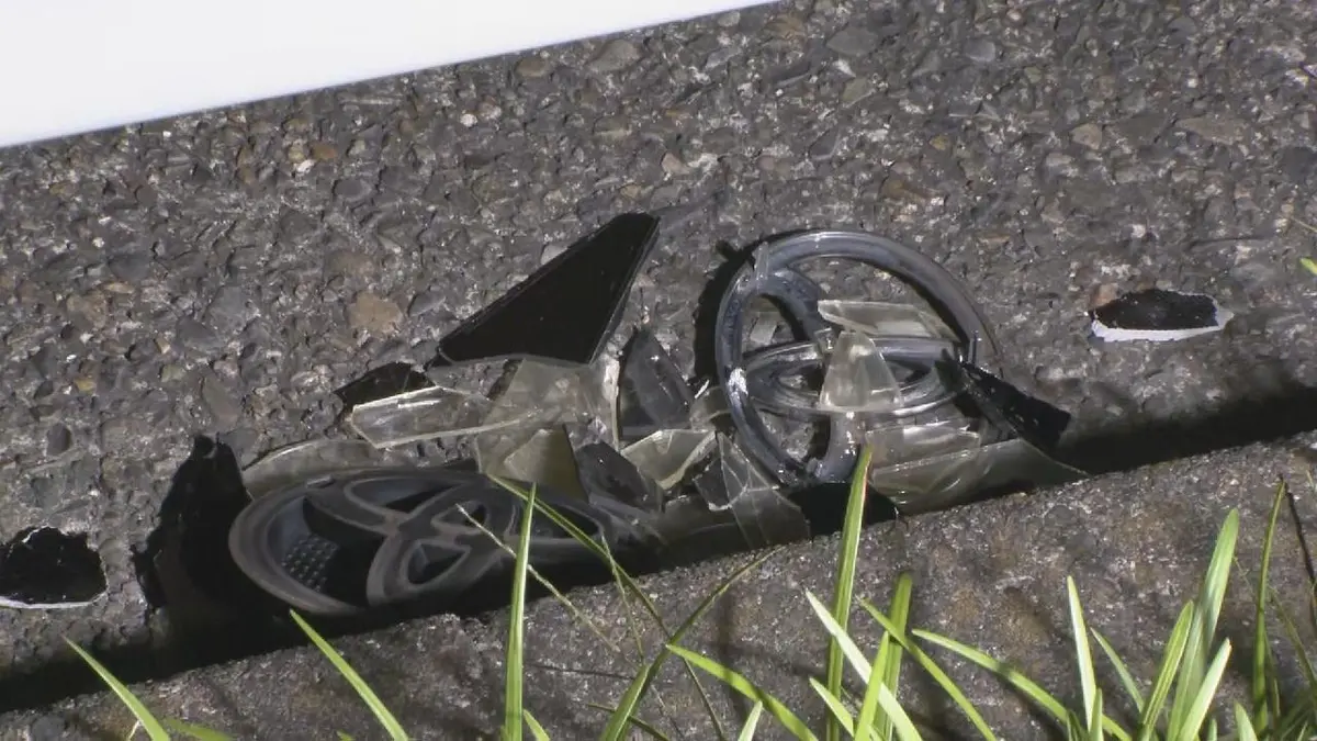 日テレNEWS NNN 6月10日(水) 10:34 自転車の女性重体 信号無視の車には