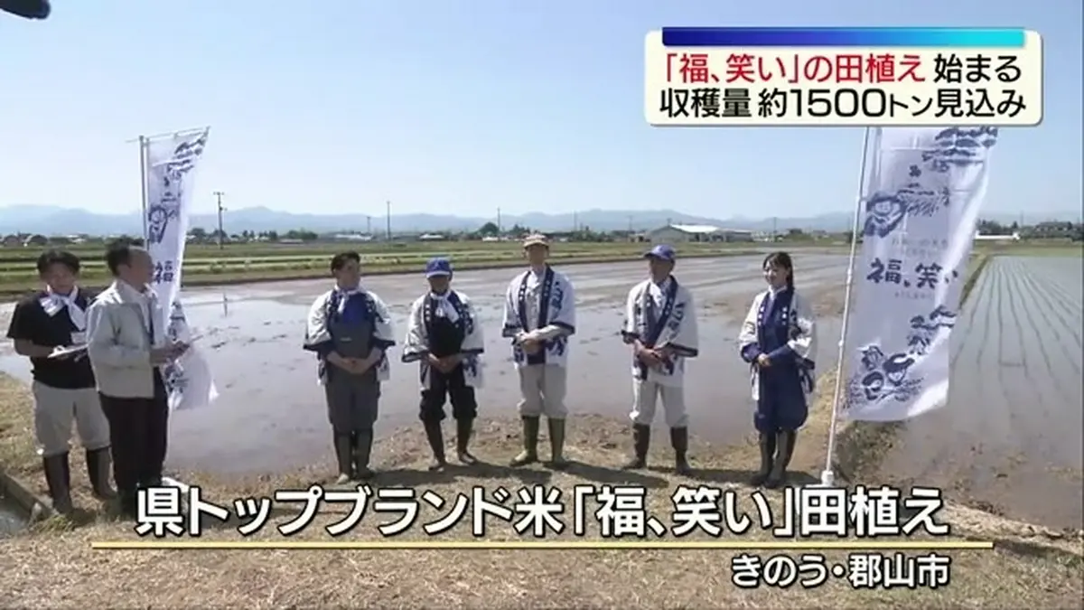 次回最短19日(木)発送になります 日テレNEWS NNN 5月19日(火) 11:59 「福、笑い」田植え始まる 2026年