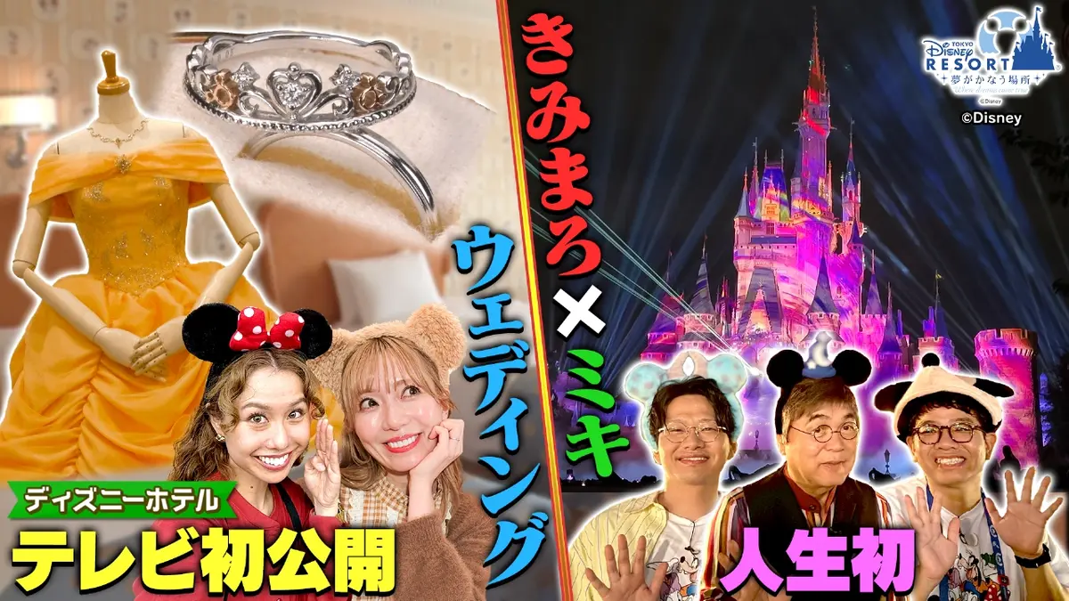 活動歴および当時の関連ビジュアル記録