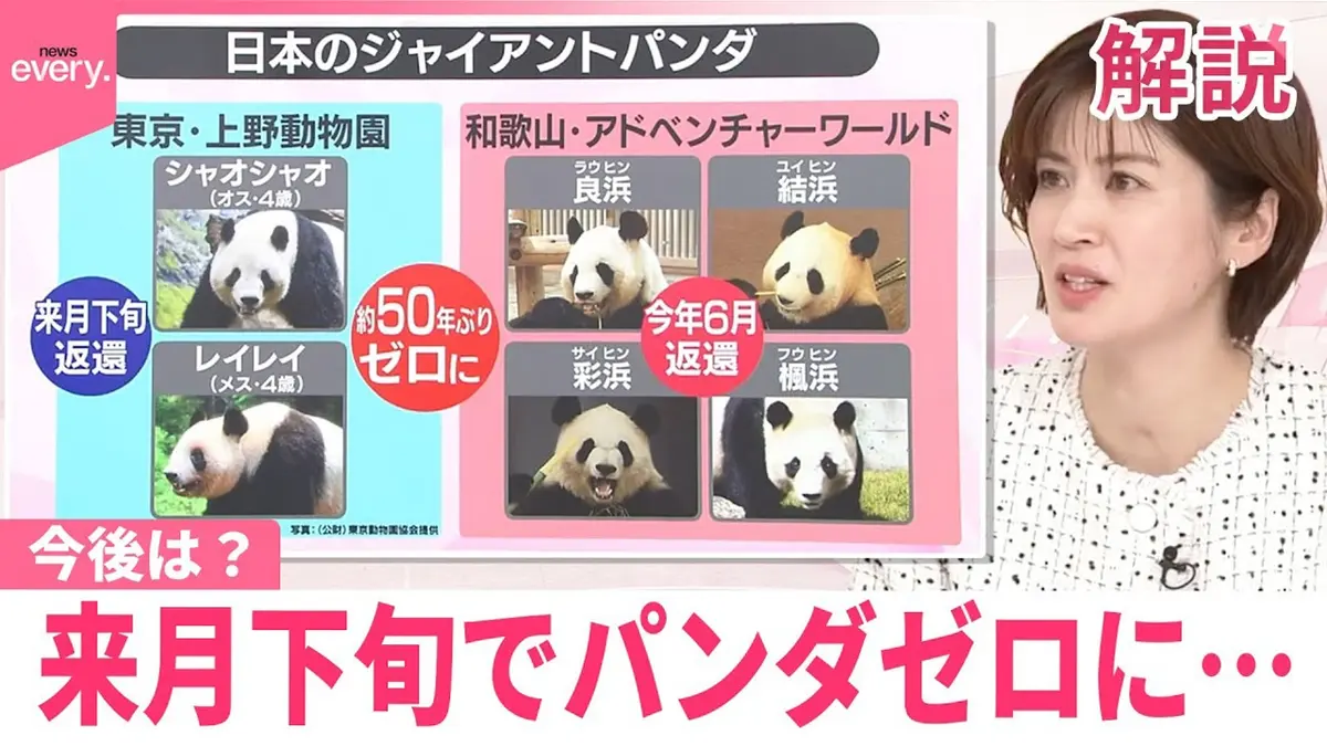 日テレNEWSセレクト 12月15日(月)放送分 【#みんなのギモン】来月下旬