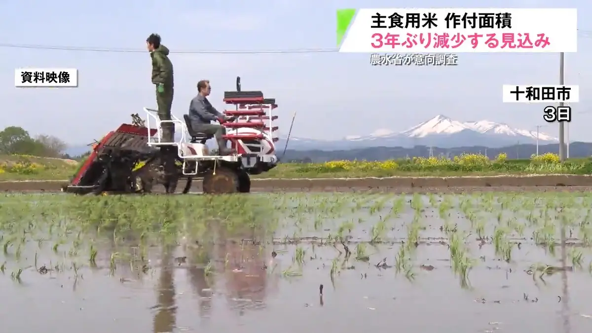 日テレNEWS NNN 5月21日(木) 17:09 青森県内の主食用米作付け面積が3年