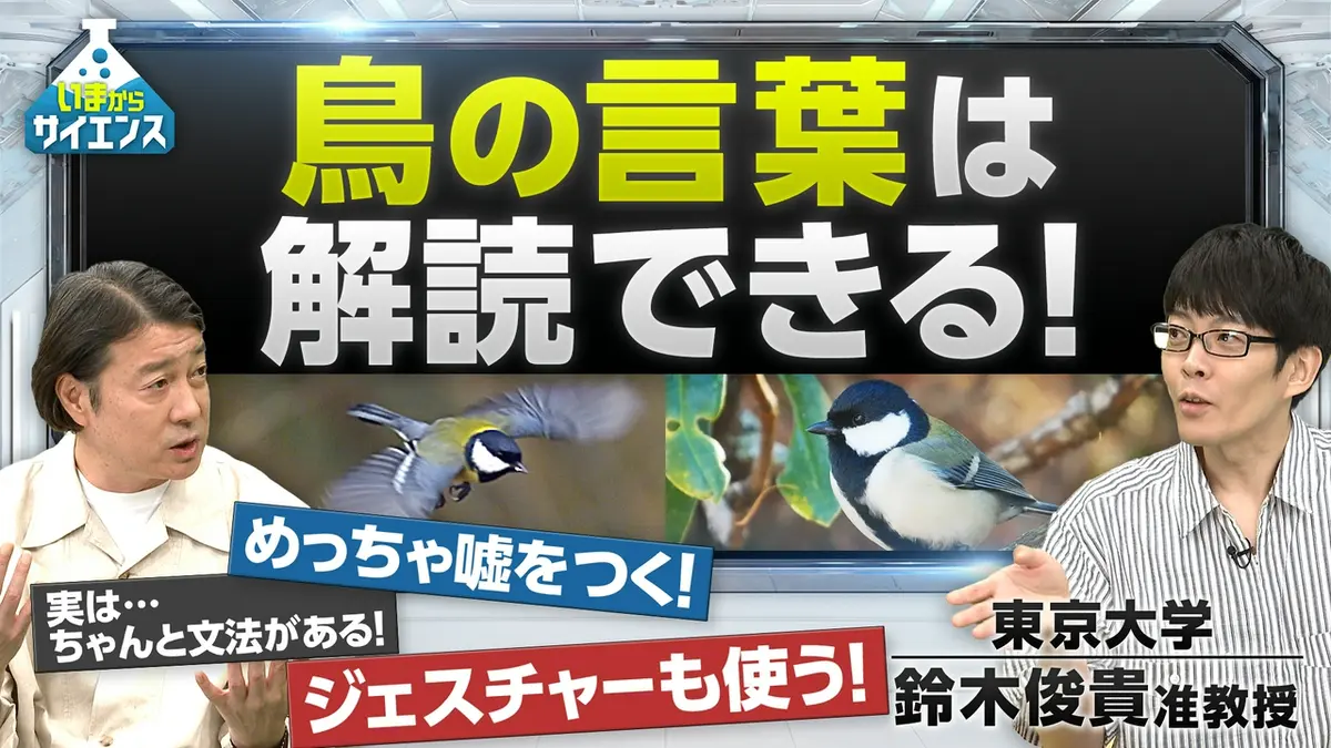 は つ とり