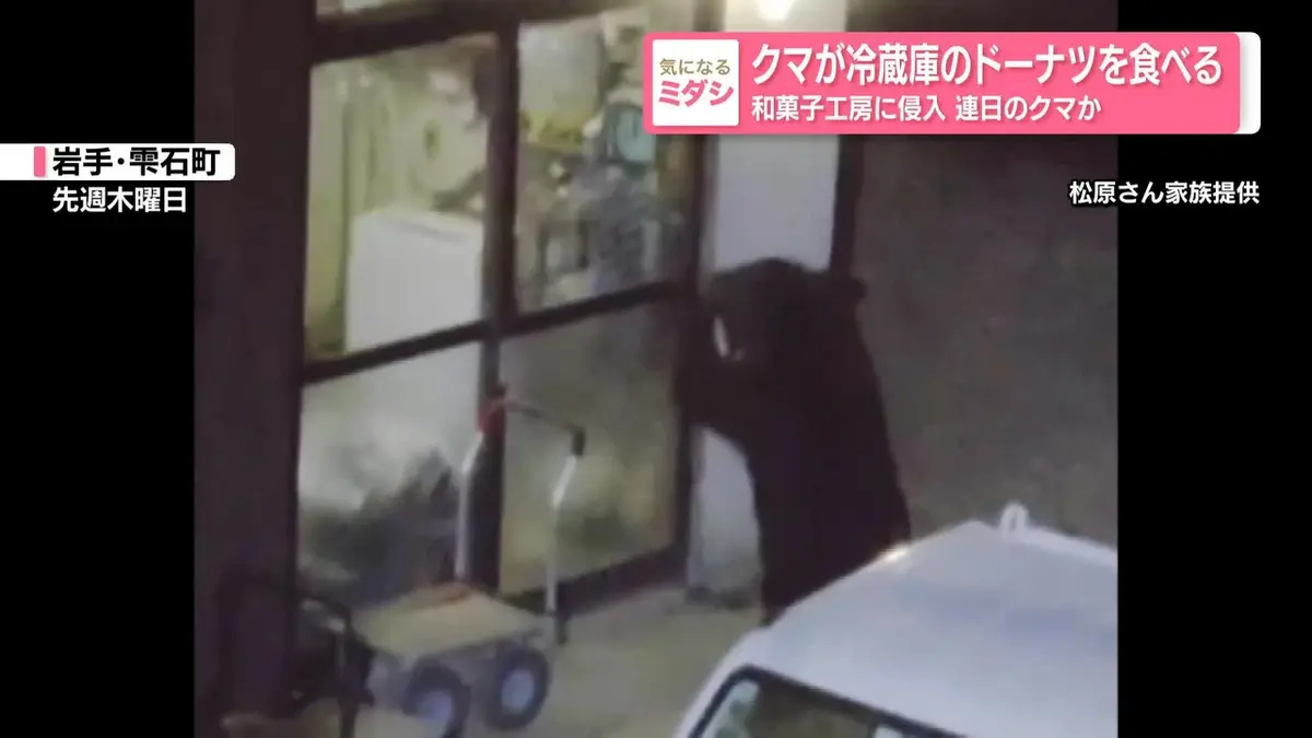 日テレNEWS NNN 7月13日(月) 20:40 クマが冷蔵庫のドーナツを食べる