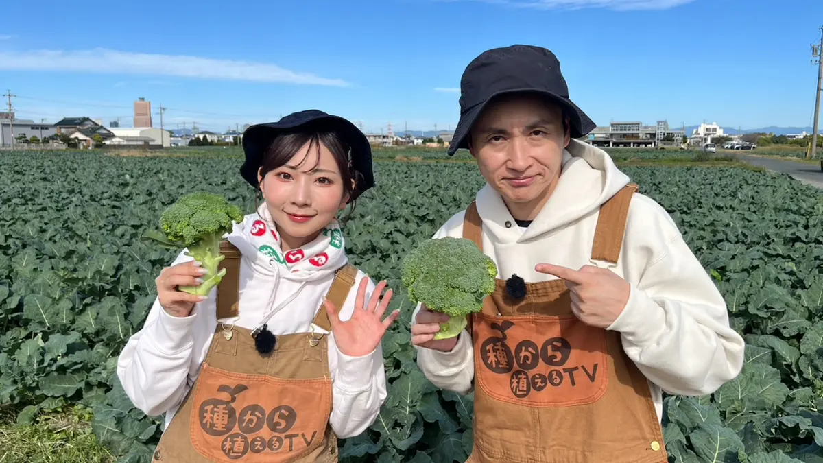 種から植えるTV 12月14日(日)放送分 第190回 「ビジネス農ハウ」を学ぶ