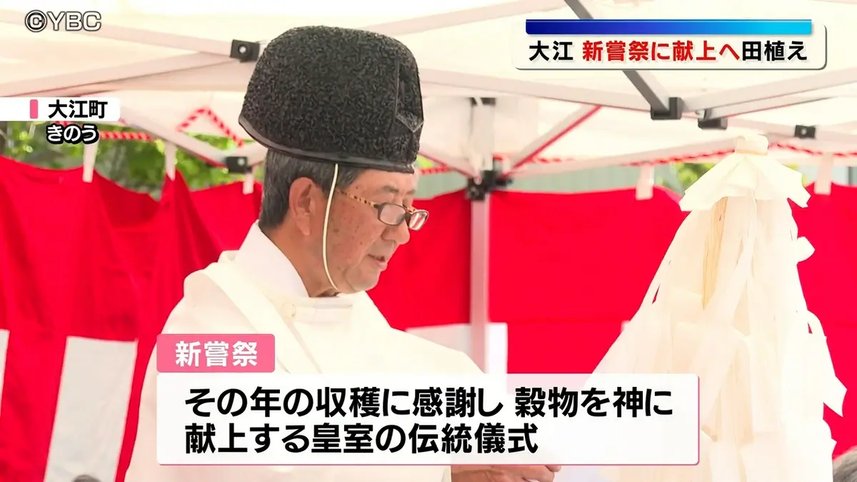 日テレNEWS NNN 5月19日(火) 12:54 新嘗祭に献上されるコメ 五穀豊穣を