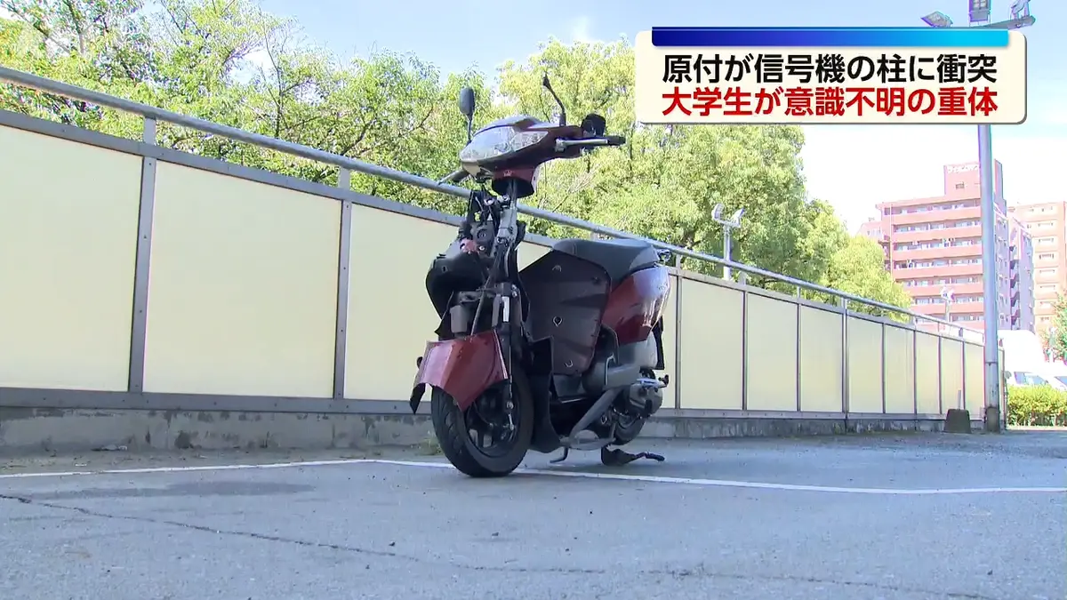 CGIL news bulletin 第3号から28号まで(欠あり) 日テレNEWS NNN 7月12日(日) 12:03 信号機の柱に衝突 大学生が意識不明