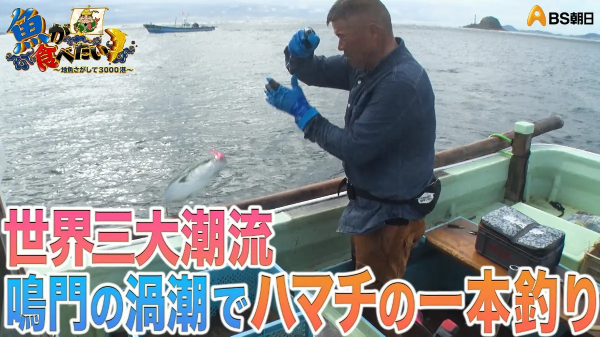 魚が食べたい！ ～地魚さがして3000港～ 12月3日(水)放送分 鳴門の渦潮