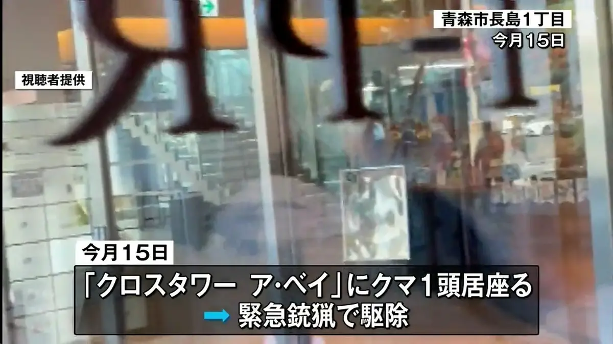 日テレNEWS NNN 5月18日(月) 11:54 駆除後もクマ目撃相次ぐ青森市
